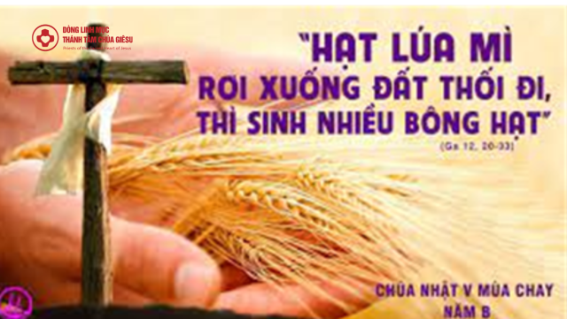 linhmucthanhtamchunhat5mcb