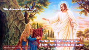 linhmucthanhtamt2t15tn
