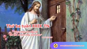 linhmucthanhtamthubatuan29tn