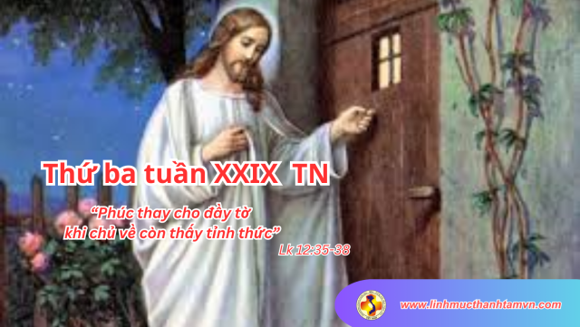 Thứ ba tuần XXIX thường niên - Gương phục vụ của Đức Kitô 1 linhmucthanhtamthubatuan29tn