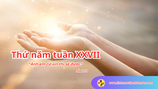 Thứ năm tuần XXVII thường niên - Kiên trì trong thử thách 1 linhmucthanhtamthunamtuan27tn