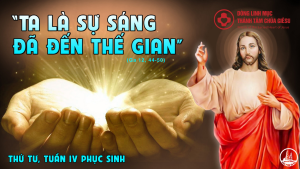 linhmucthanhtamvn 10