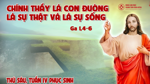 linhmucthanhtamvn 11