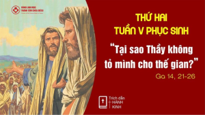 linhmucthanhtamvn 12 1