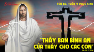 linhmucthanhtamvn 13