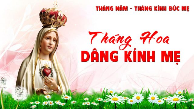 linhmucthanhtamvn 33