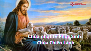 linhmucthanhtamvn 7 1