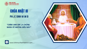 linhmucthanhtamvn.com cn3psb