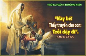 linhmucthanhtamvn.thu3tuan3tn