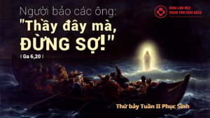 linhmucthanhtamvn.thubaytuan II ps