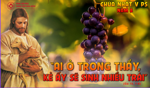 Các bài suy niệm Chúa nhật V Phục sinh 1 linhmucthanhtanvnchuanhat5ps
