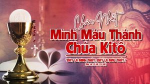 minh mau chua nb 768x432 1