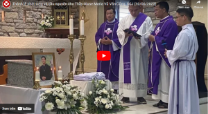 nen web video