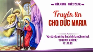 ngay20 12mv