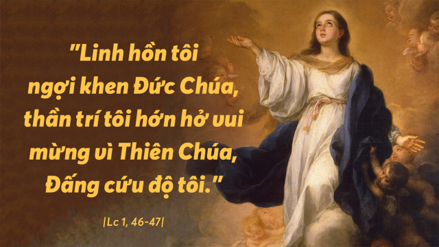 Ngày 22 tháng 12 Mùa vọng: Nhận biết và cám ơn quà tặng của Thiên Chúa. 1 suy niem ngay 22 thang 12