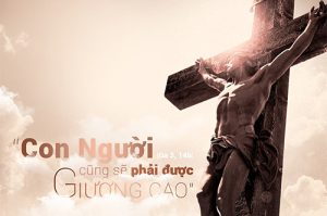 suy ton thanh gia