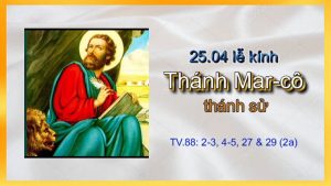 thanh marco