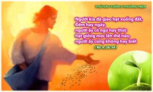 thu 6 thuong nien 3