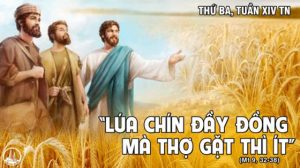 thu ba tuan 14 thuong nien