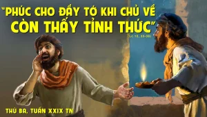 thu ba tuan 29tn