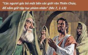 thu ba tuan 5 tn