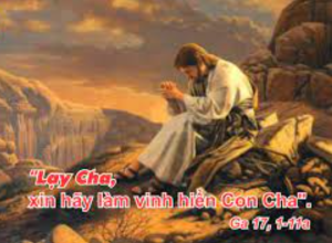 thu ba tuan VII