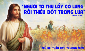 thu ba tuan XVII thuong nien
