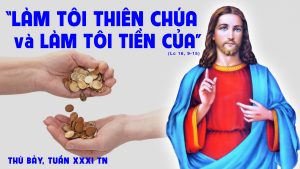 thu bay tuan 31tn