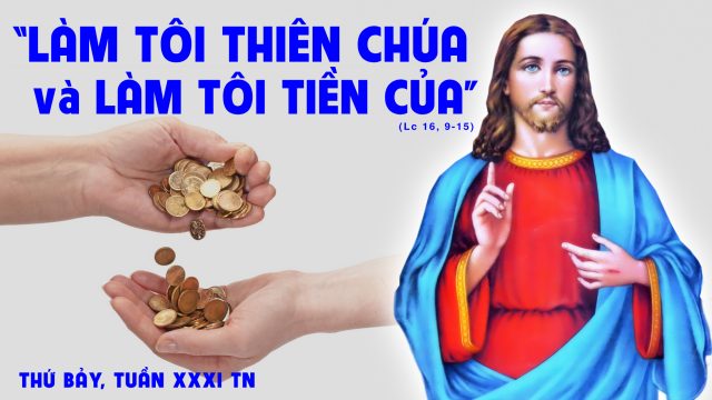 thu bay tuan 31tn