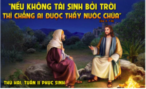 thu bay tuan II Ps