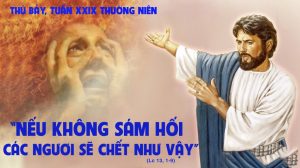 thu bay tuan XXIX tn