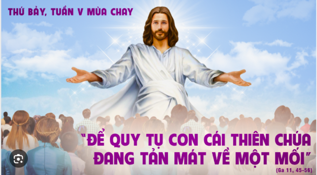 thu bay tuan v mc
