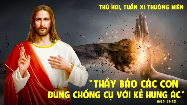 thu hai tuan 11