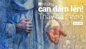 thu hai tuan 7
