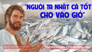 thu nam tuan 17 thuong nien