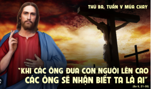 thu nam tuan 5
