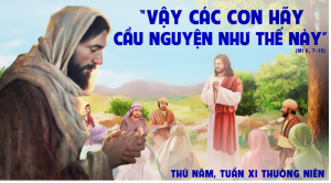 thu nam tuan XI