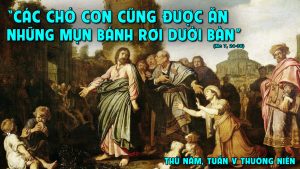 thu nam tuan v mua thuong nien