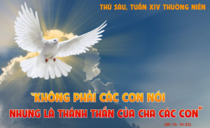 thu sau tuan 14 tn