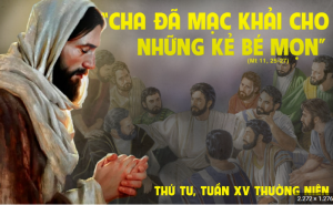 thu tu tuan 15 thuong nien