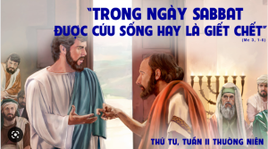thu tu tuan 2 thuong nien