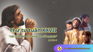 thu tu tuan 27tn