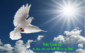 thu tu tuan Vi Thuong nien