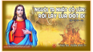 thubatuan17tn