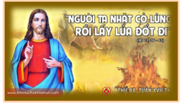 Thứ ba tuần XVII thường niên - Chói lọi như mặt trời 1 thubatuan17tn