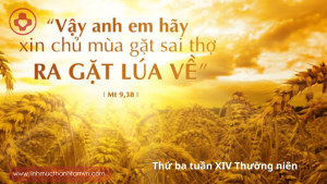 thubatuanXIVthuongnien