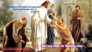 thubaytuan15tn