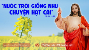thuhaituan17tn