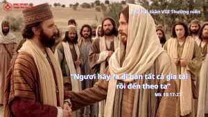 thuhaituan8tn