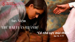 thuhaituanthanh linhmucthanhtam